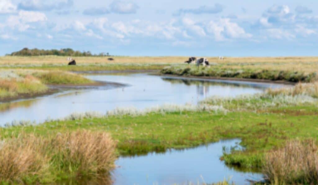 Schiermonnikoog
